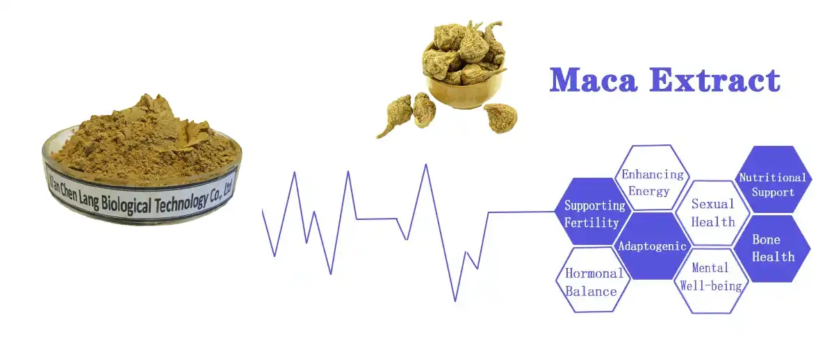 Maca Extract powder saler.jpg